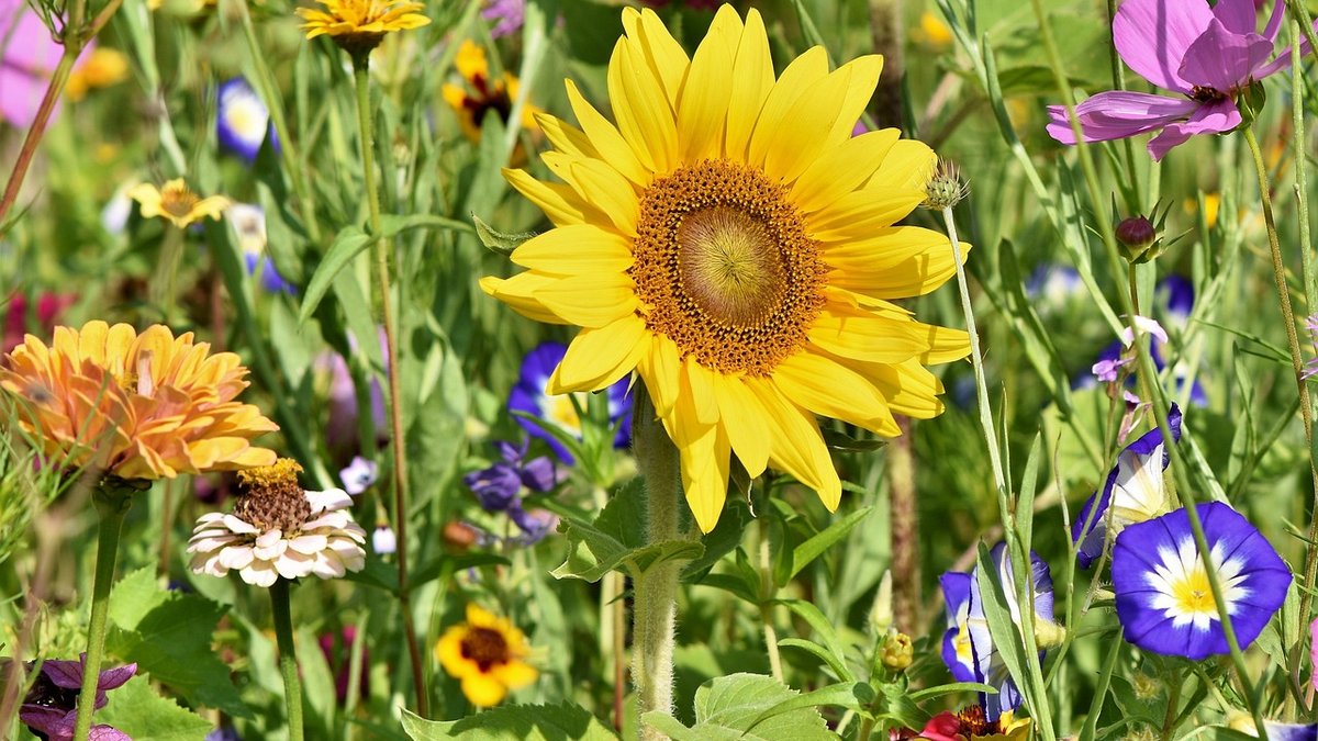 Spring Cleaning Rituals for a Traditional Country Home